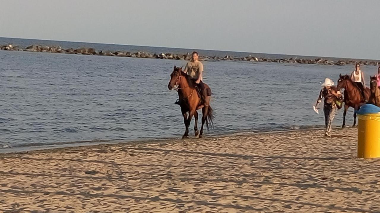 Bellavista Appartamento Lido delle Nazioni